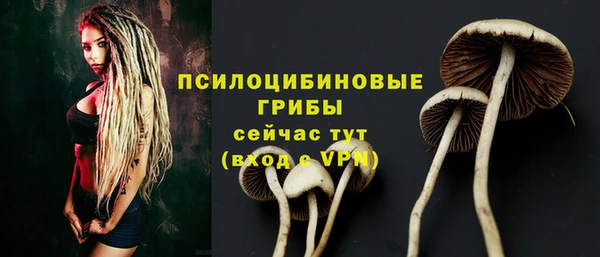 трава Баксан